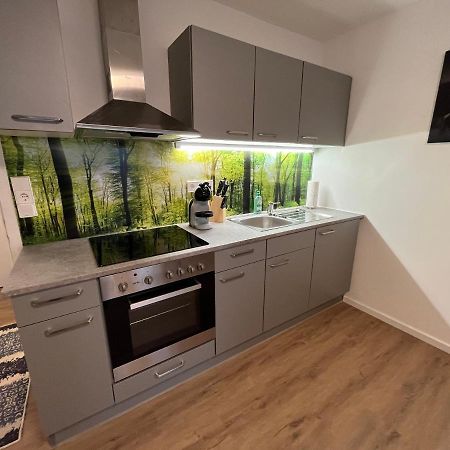 Modernes 4Er Apartment In Skilift-Naehe Zell am See Bagian luar foto